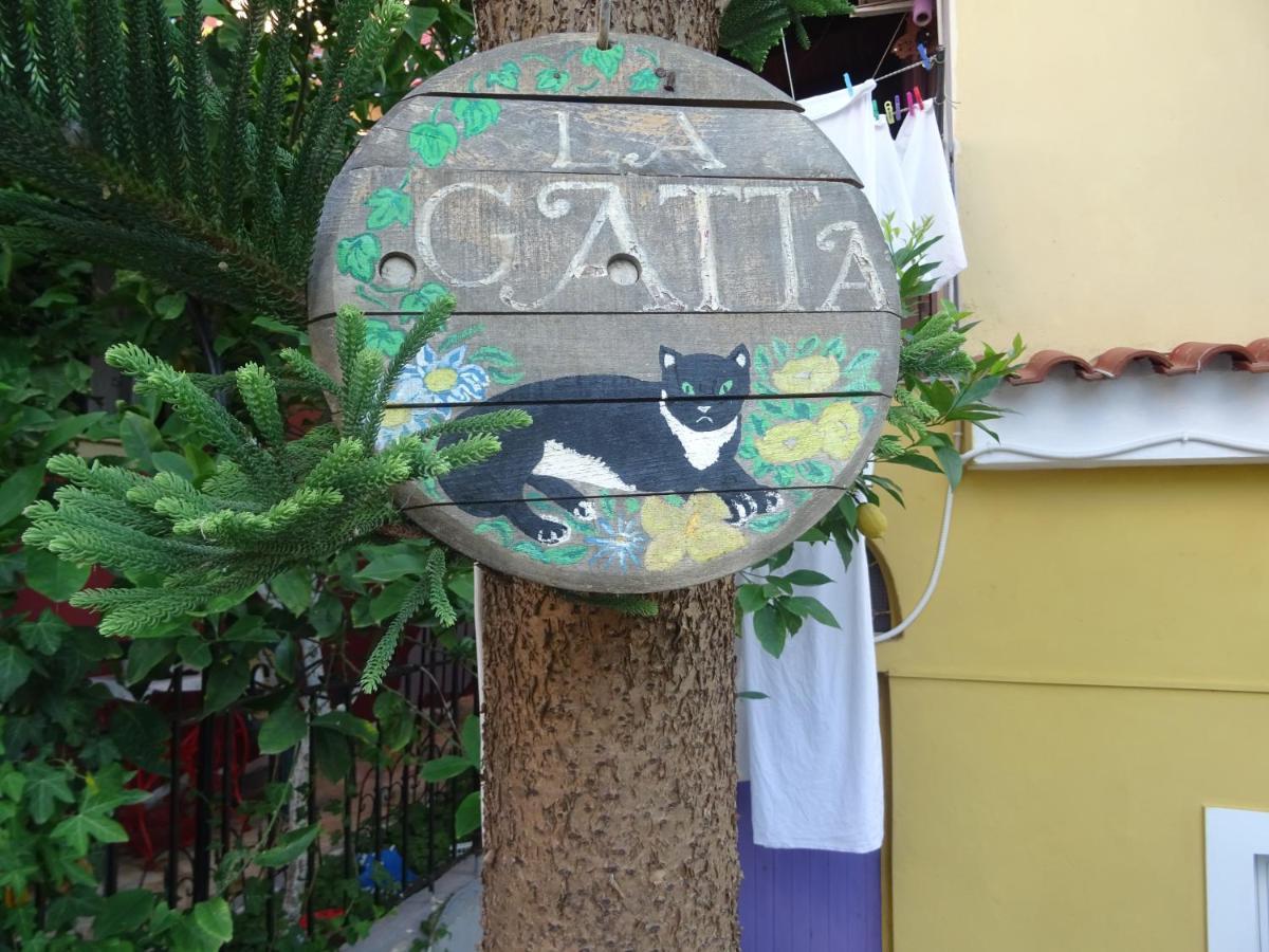 גאיוס La Gatta Studio מראה חיצוני תמונה
