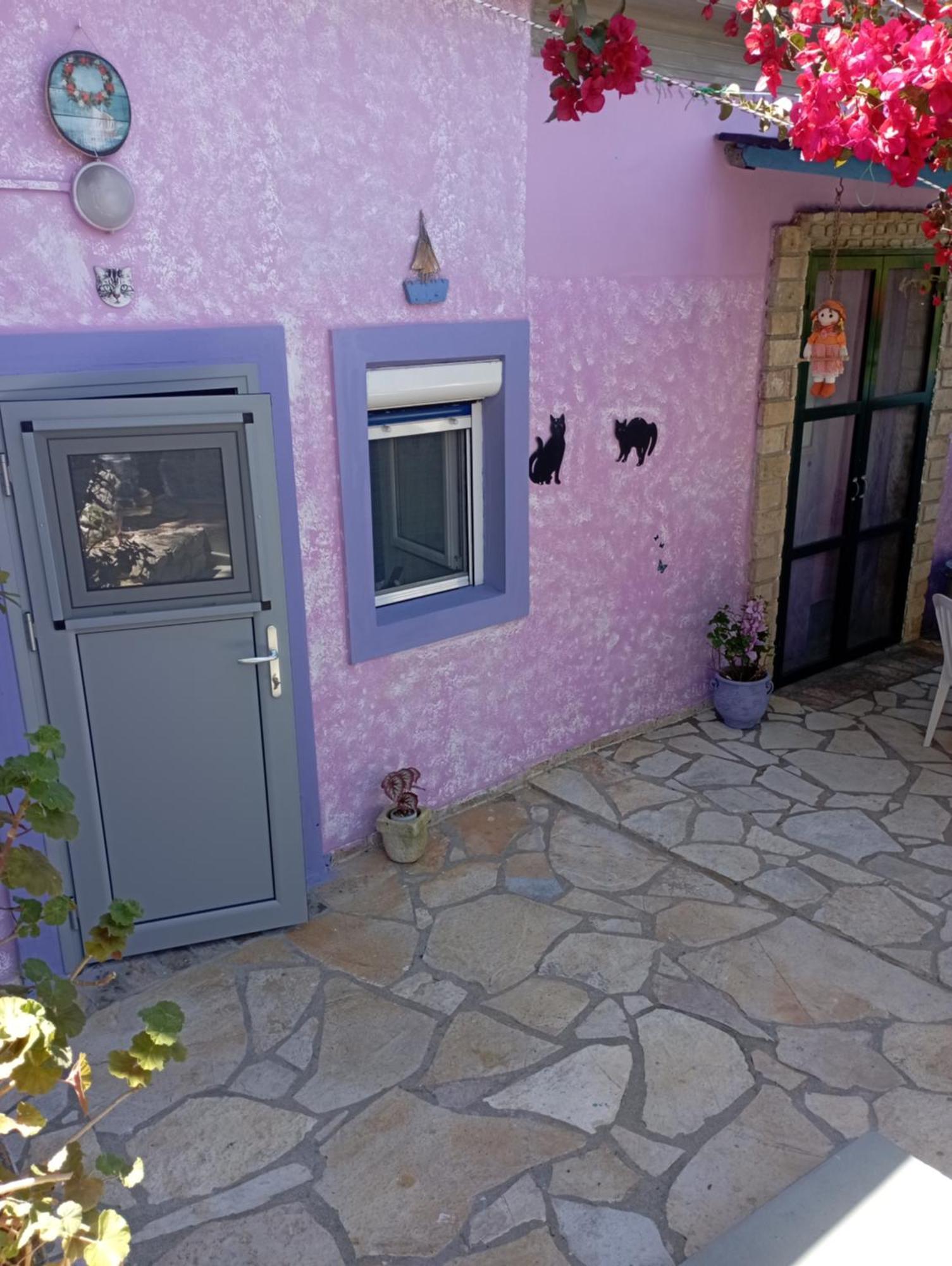 גאיוס La Gatta Studio חדר תמונה